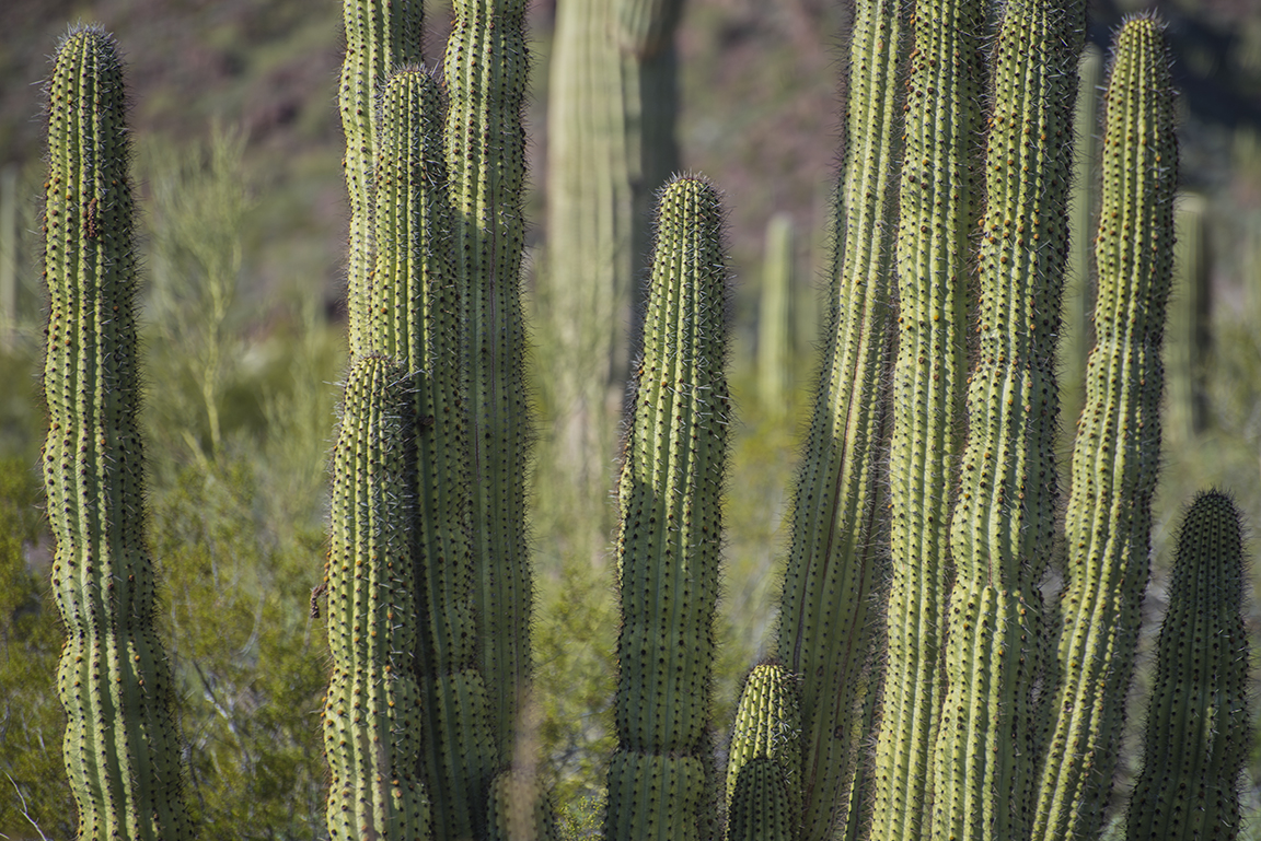 Stacks Image 60