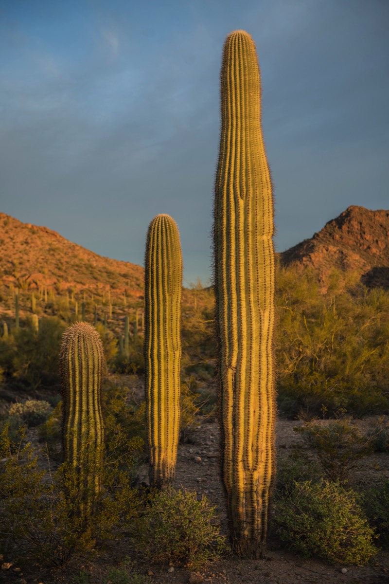 Stacks Image 18