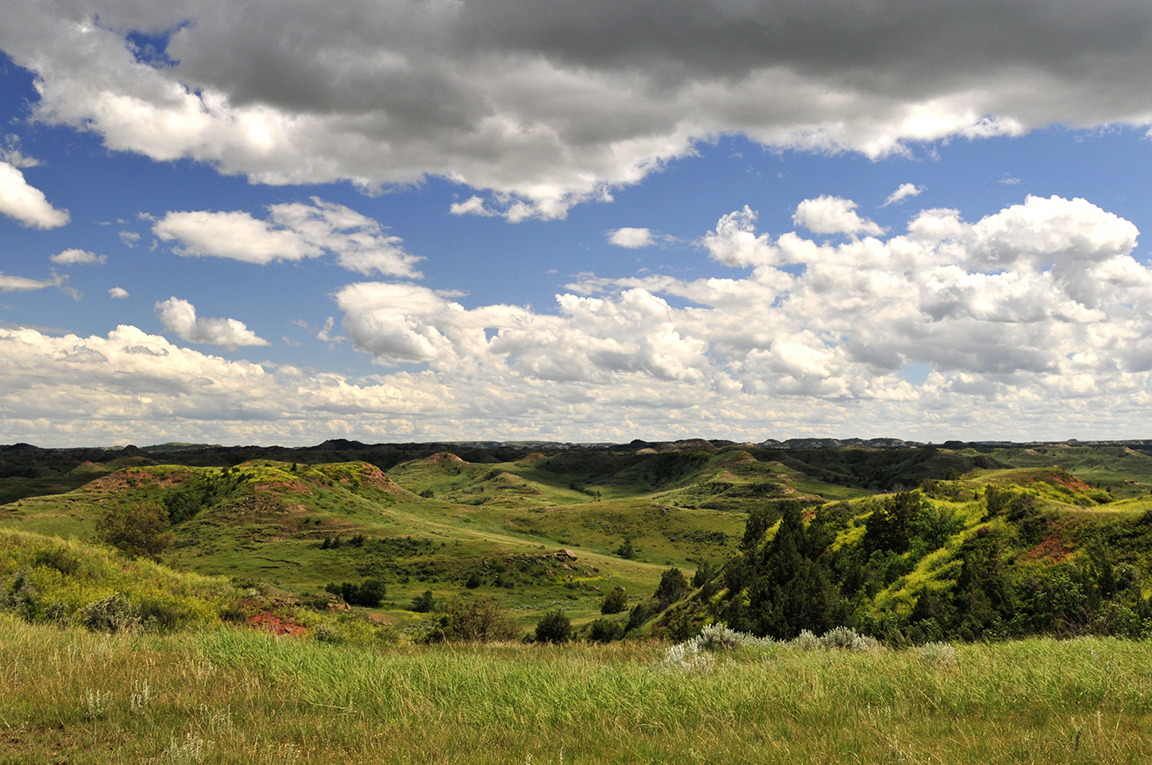 Stacks Image 60