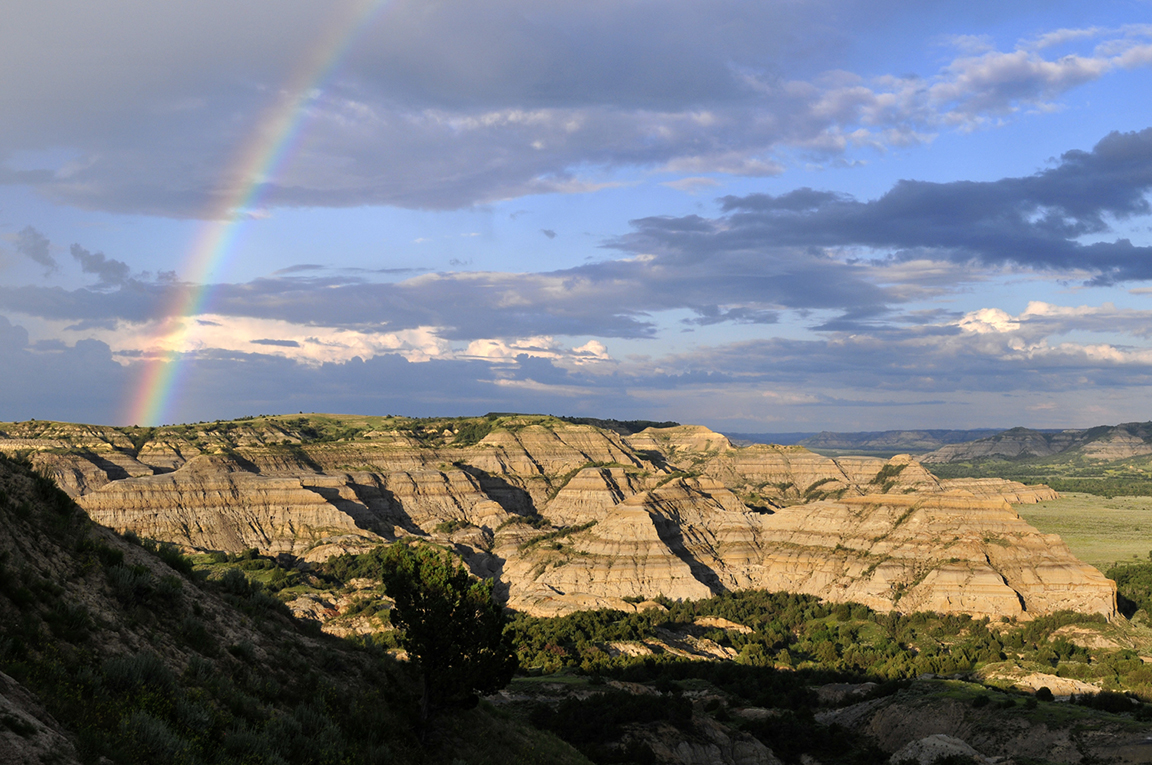 Stacks Image 96