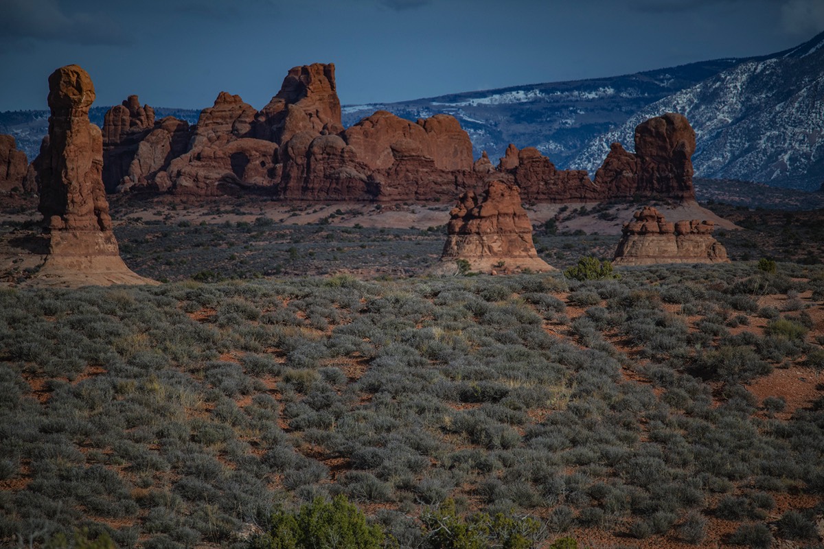 Stacks Image 60