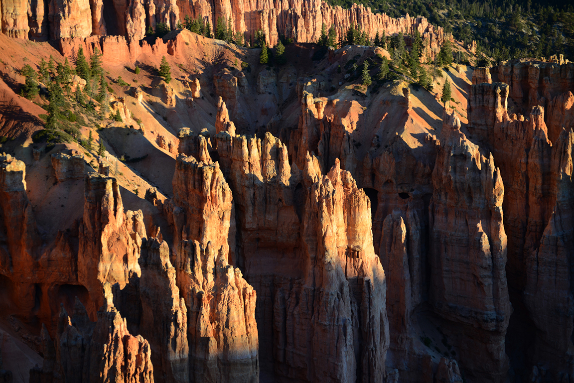 Stacks Image 40