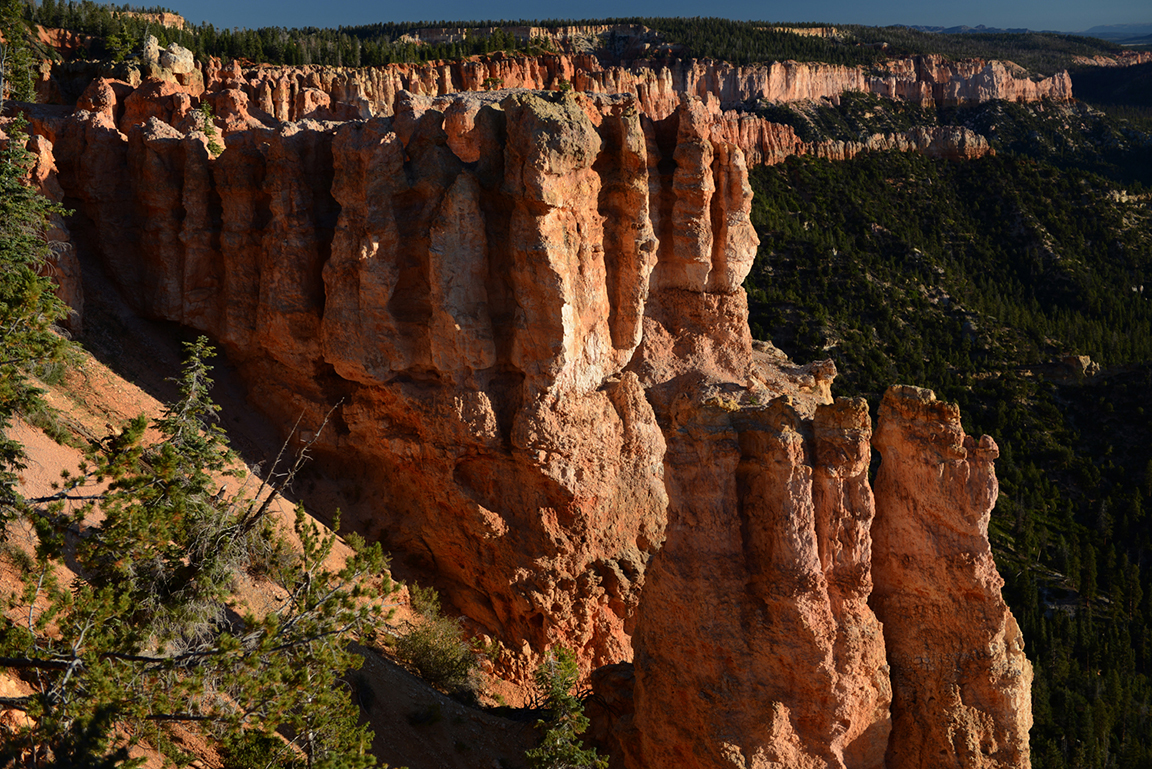 Stacks Image 50