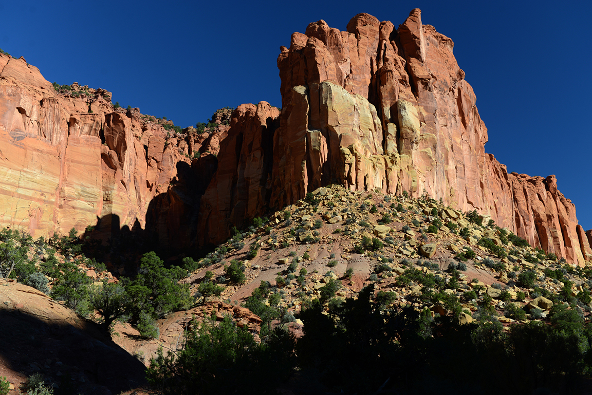 Stacks Image 50