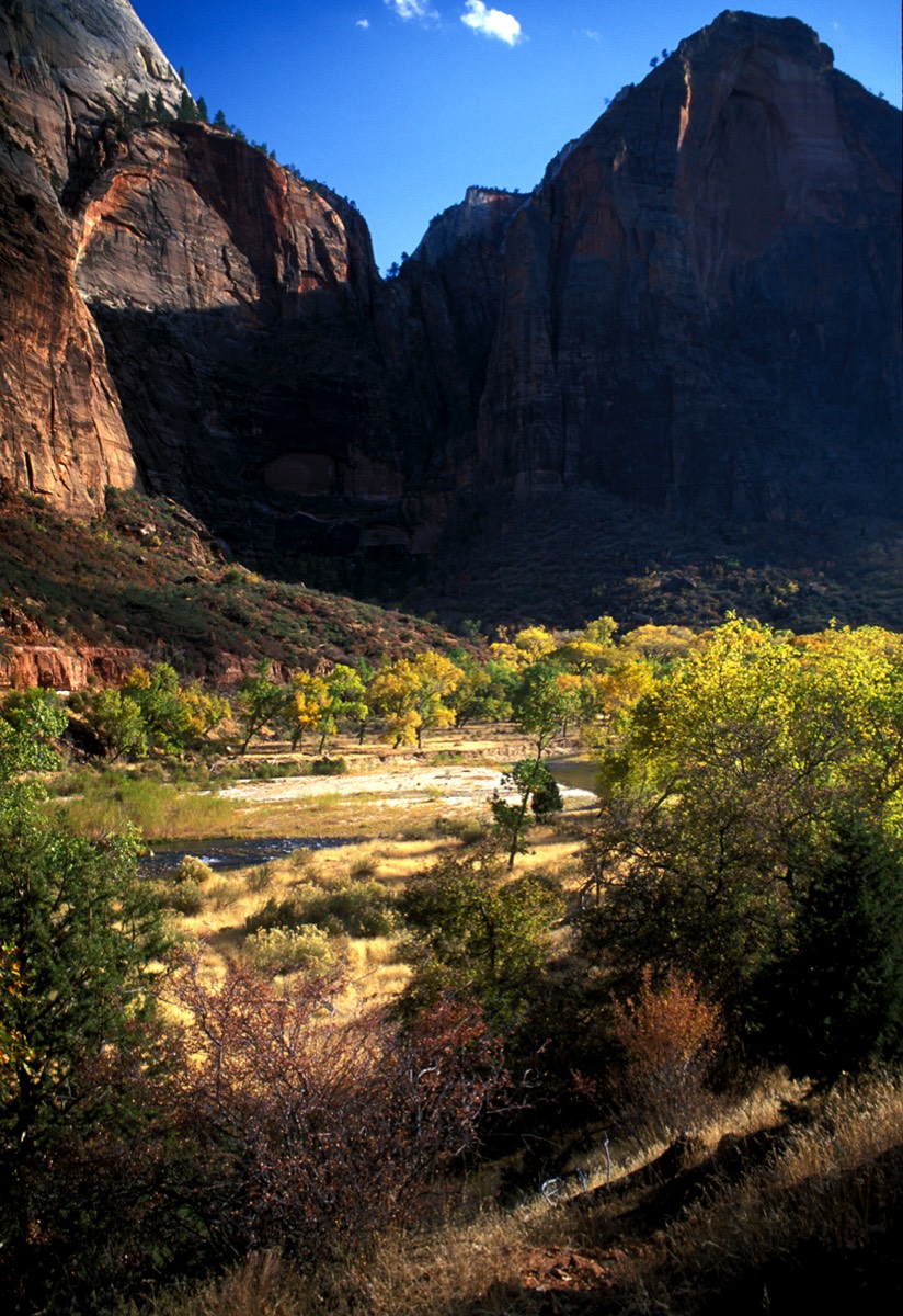 Stacks Image 60