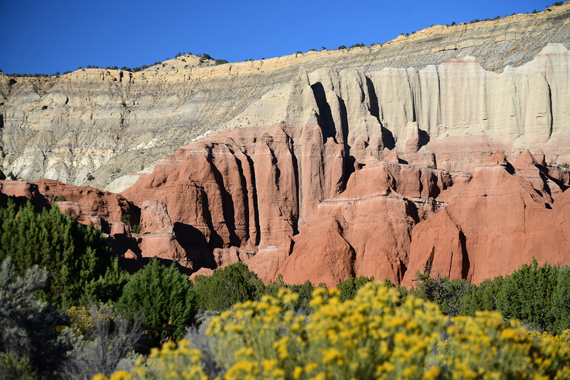 Stacks Image 65