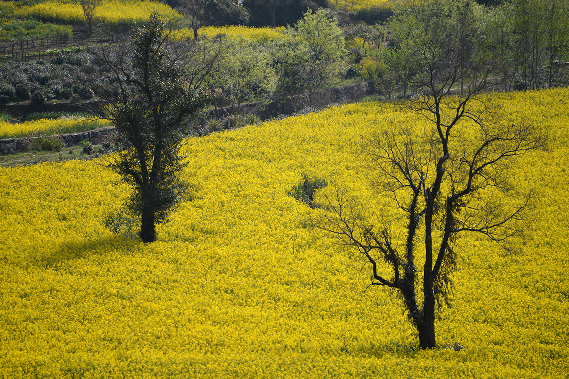 Stacks Image 815