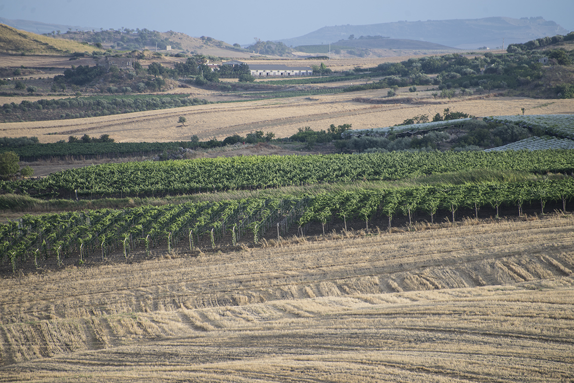 Countryside near Agrigento