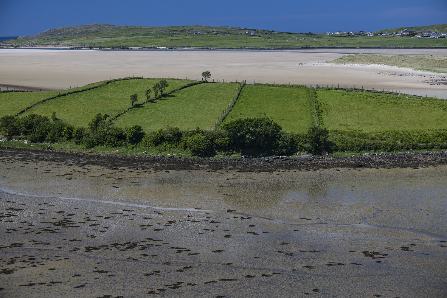 Maghera Beach MWDSC_8011