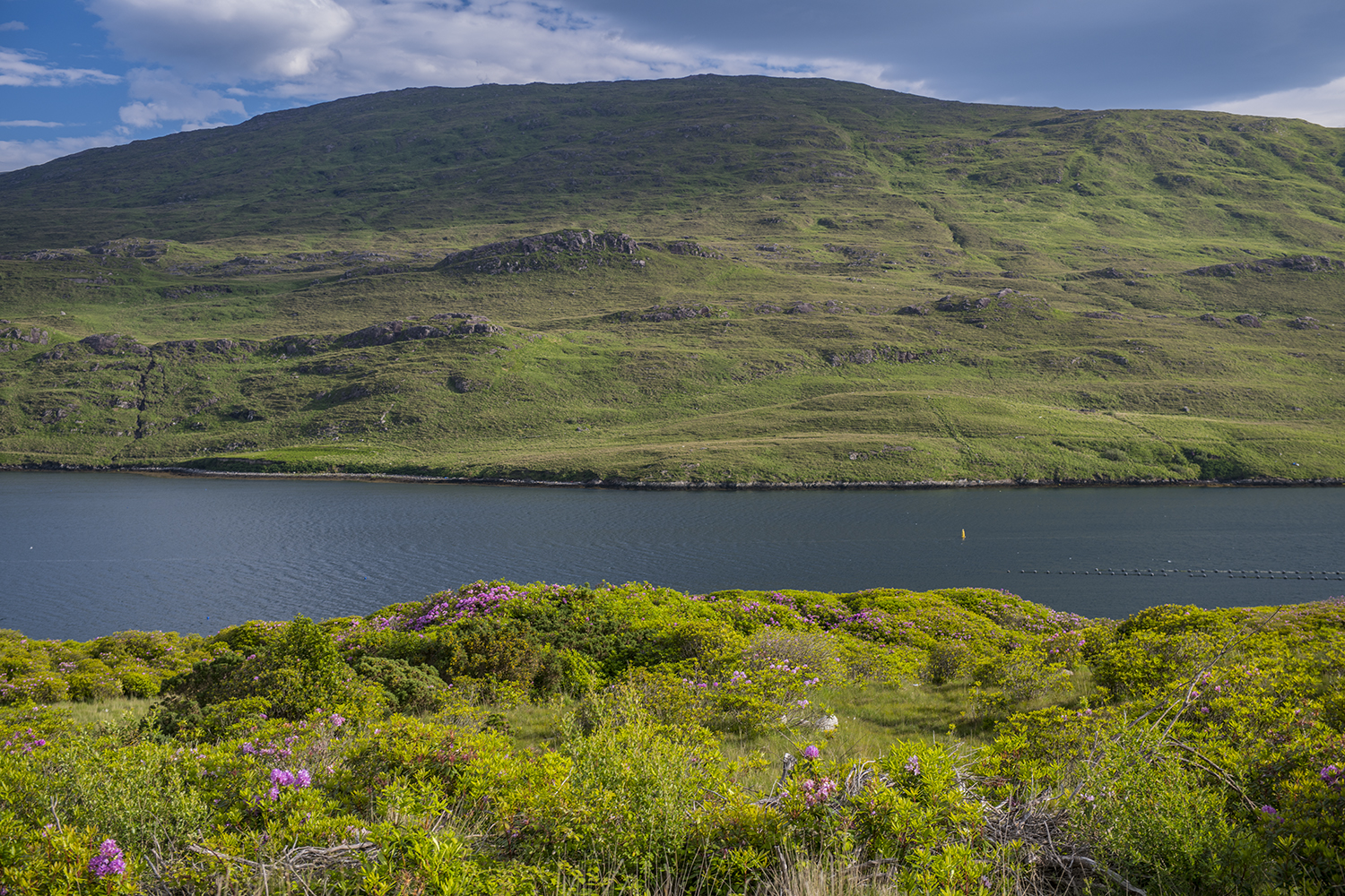 Killary Harbour Galway MWDSC_8137