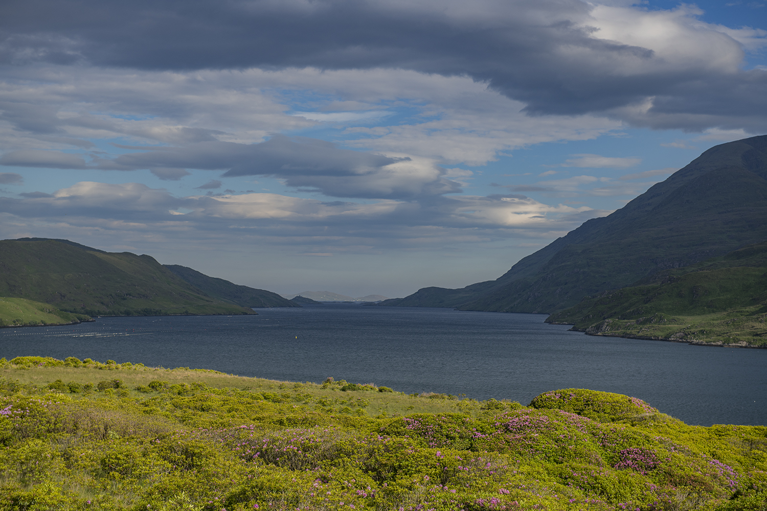 Killary Harbour Galway MWDSC_8140