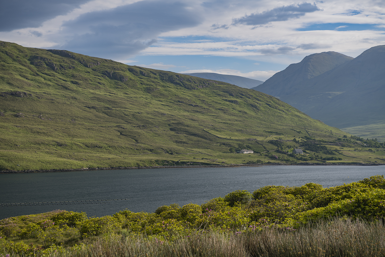 Killary Harbour Galway MWDSC_8141