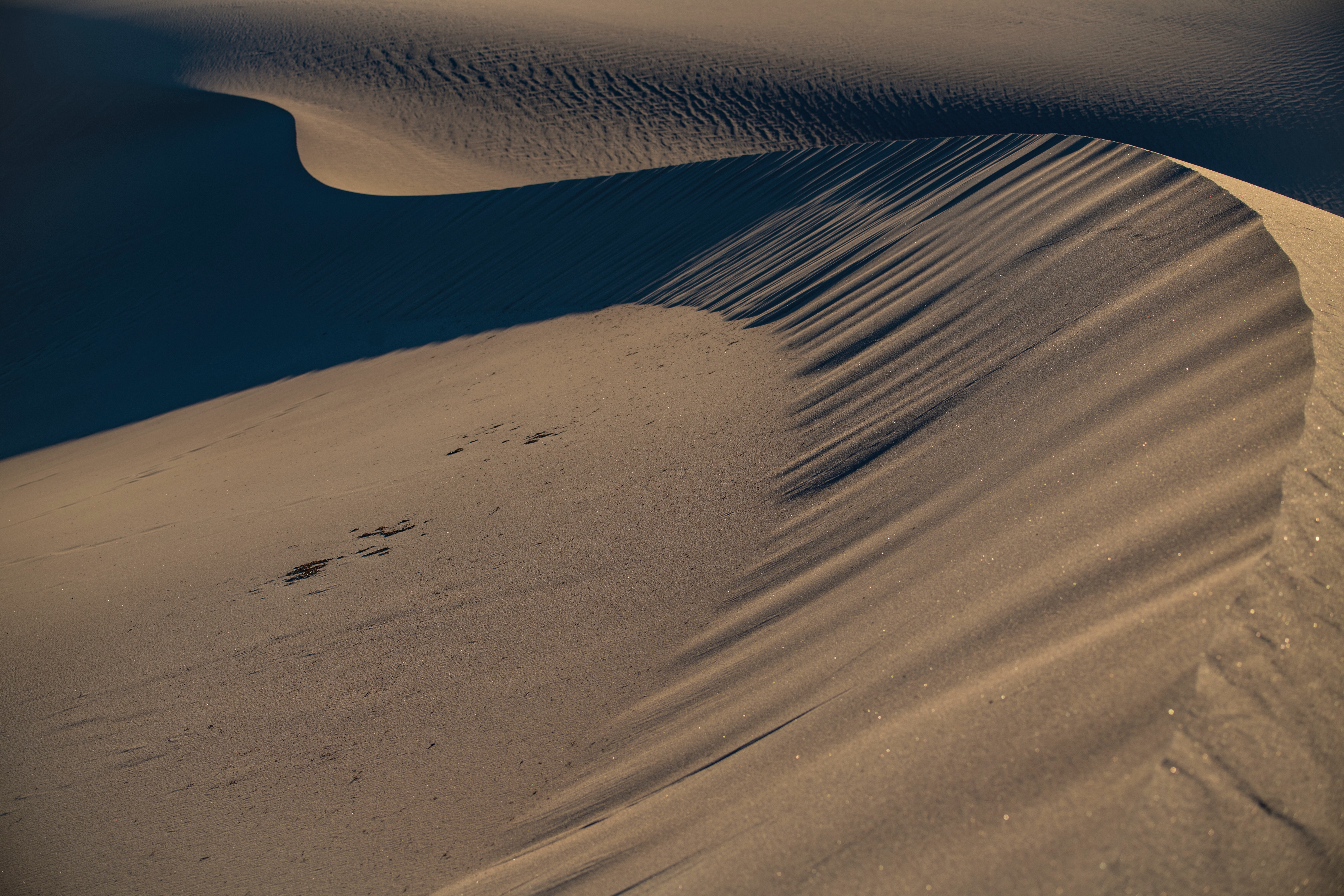 Mesquite DSC_9994 Fall OS 2021
