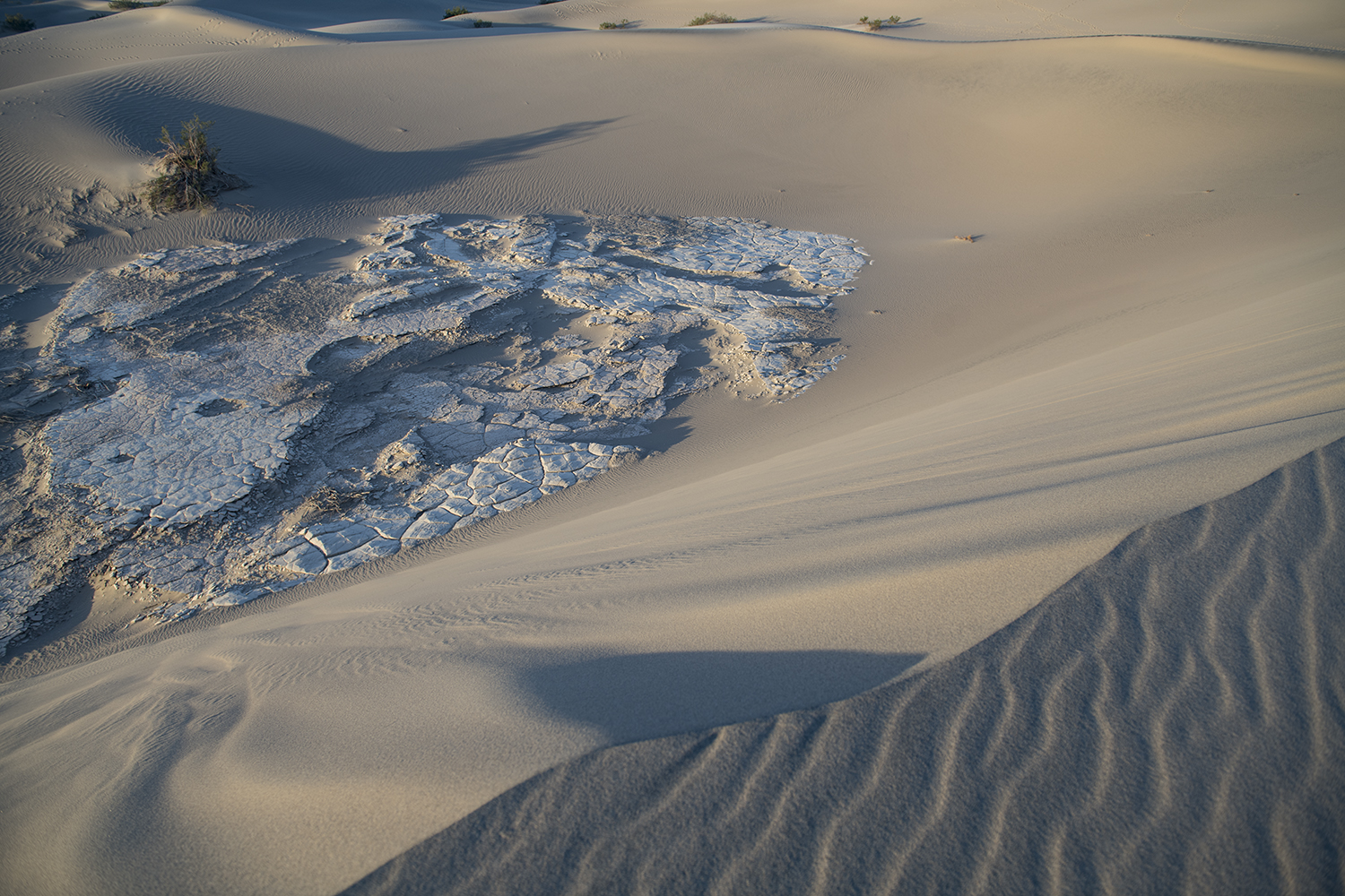 Mesquite Dunes, Death Valley NP