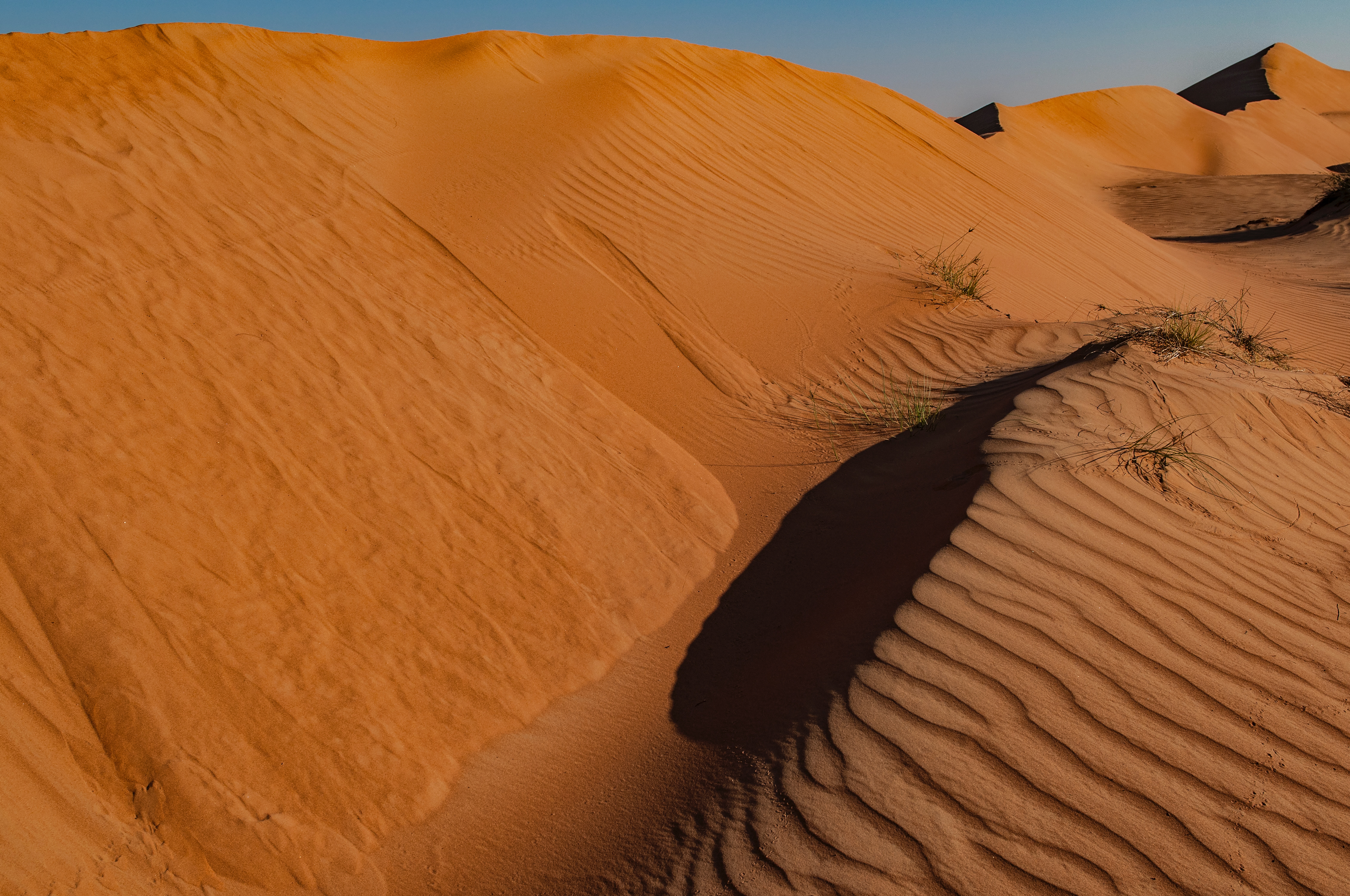 Oman_DSC0648 Fall OS 2021