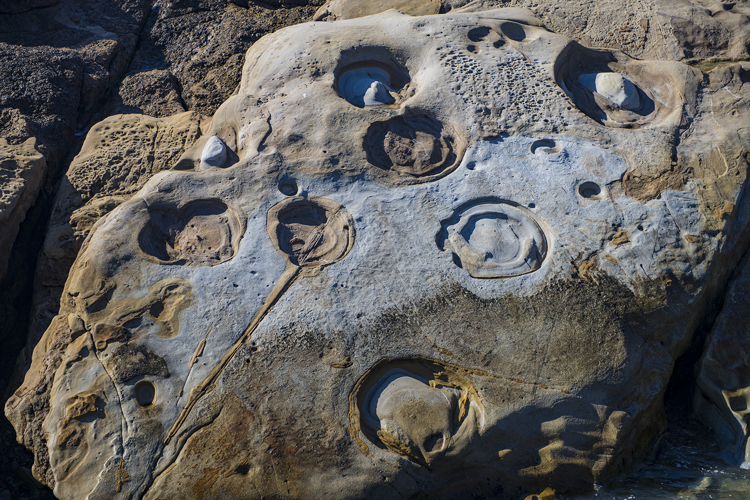 Point Lobos State Natural Reserve