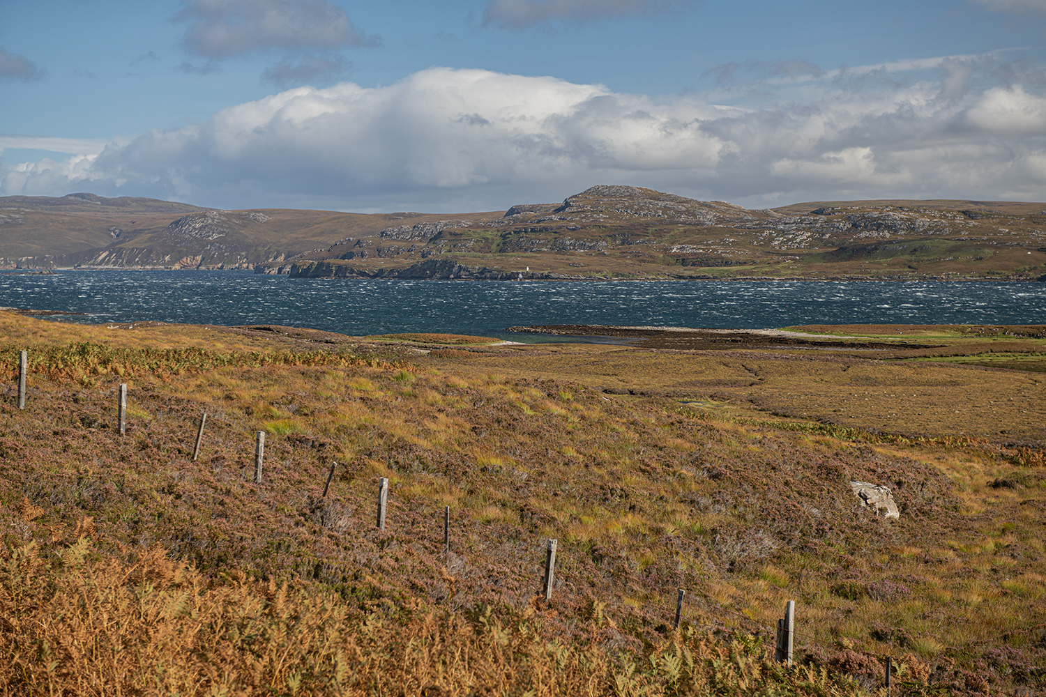 Loch Eriboli MWDSC_3581