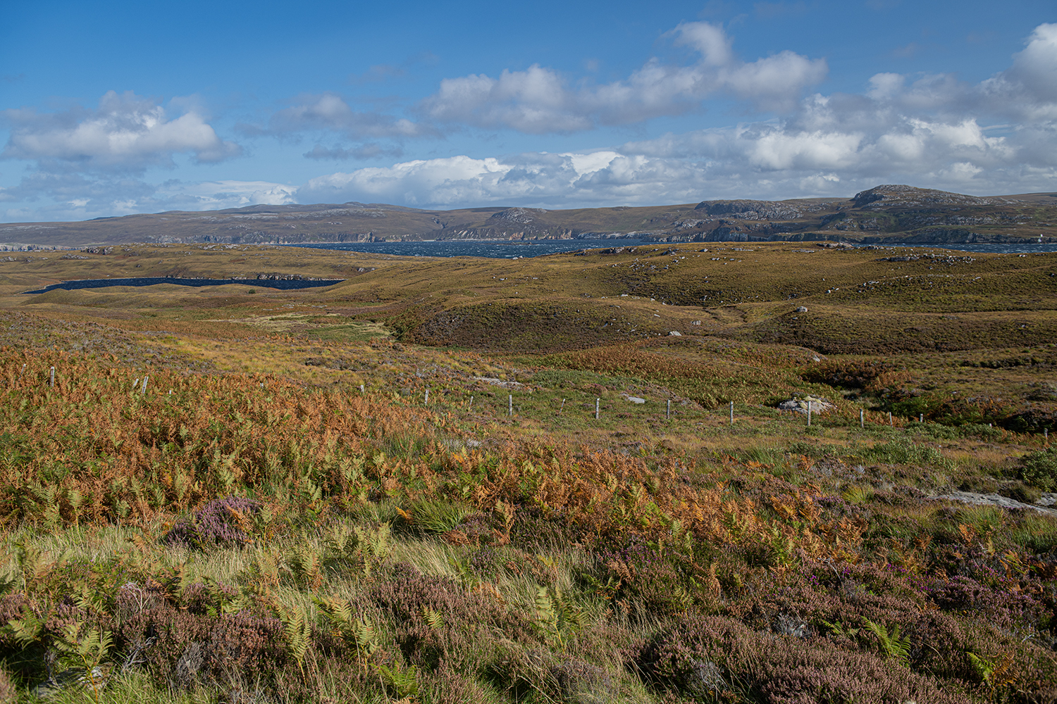 Loch Eriboli MWDSC_3594