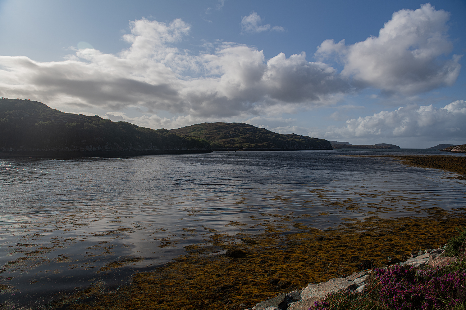 Scourie Bay MWDSC_3666