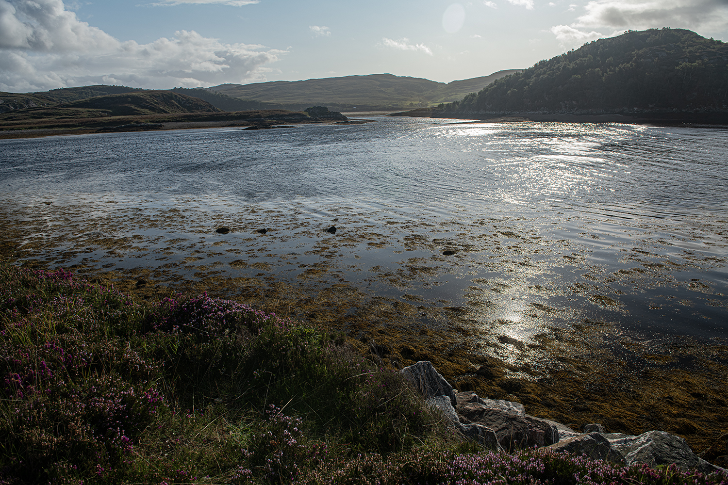 Scourie Bay MWDSC_3668