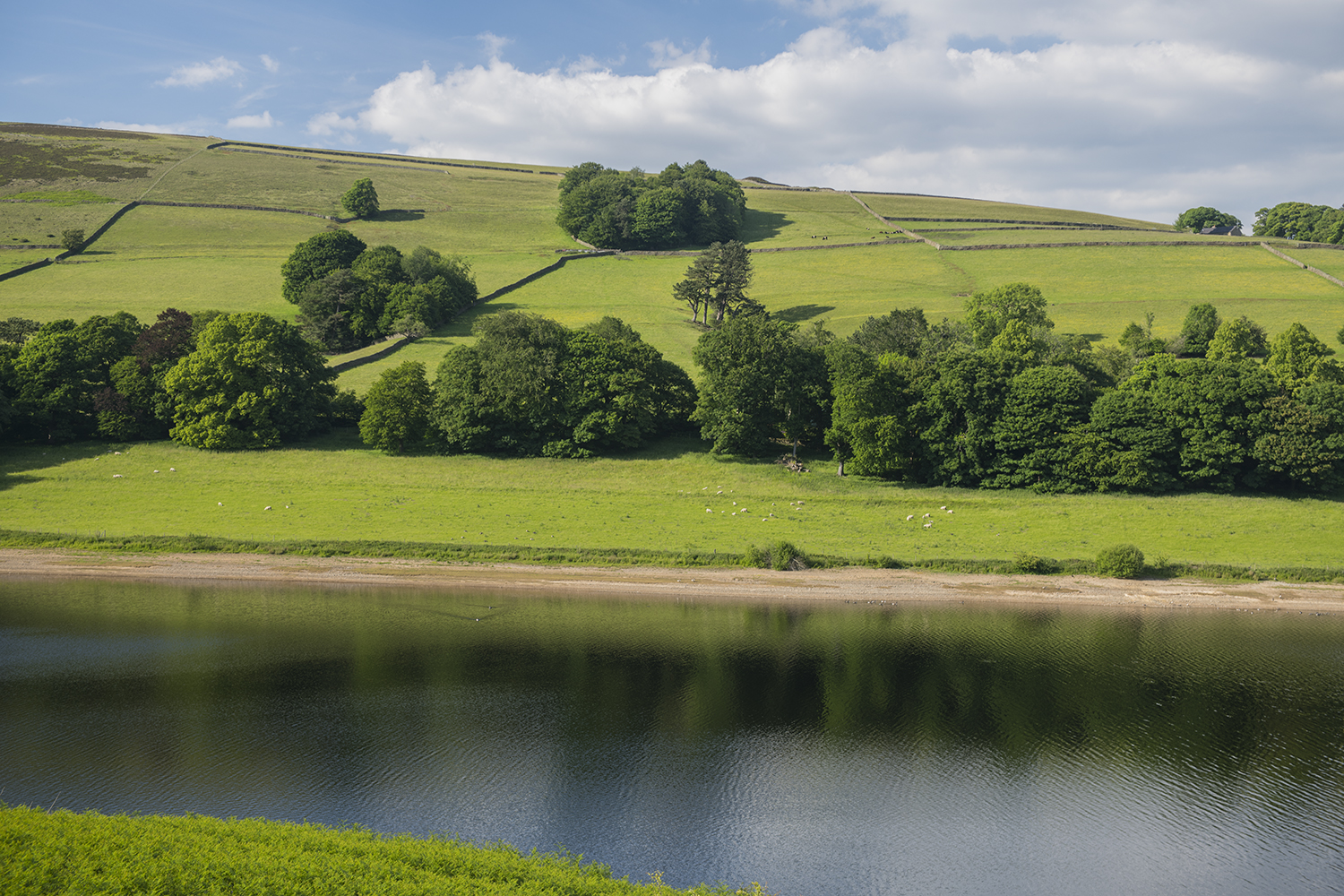 Peak District MWDSC_8371