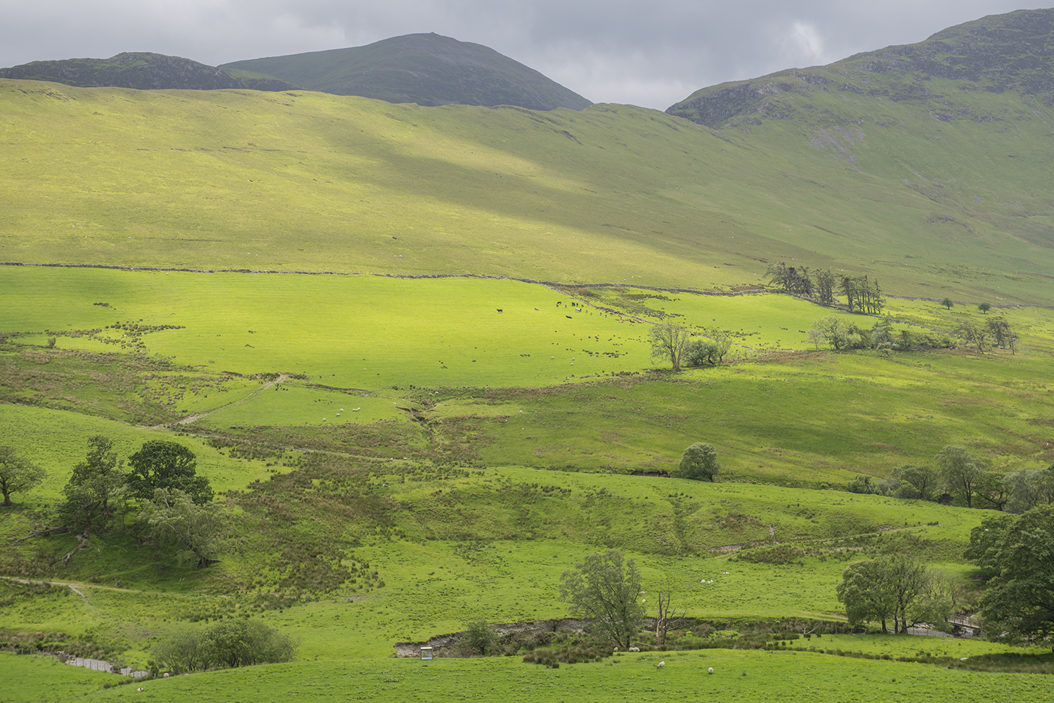 Yorkshire Dales MWDSC_8246