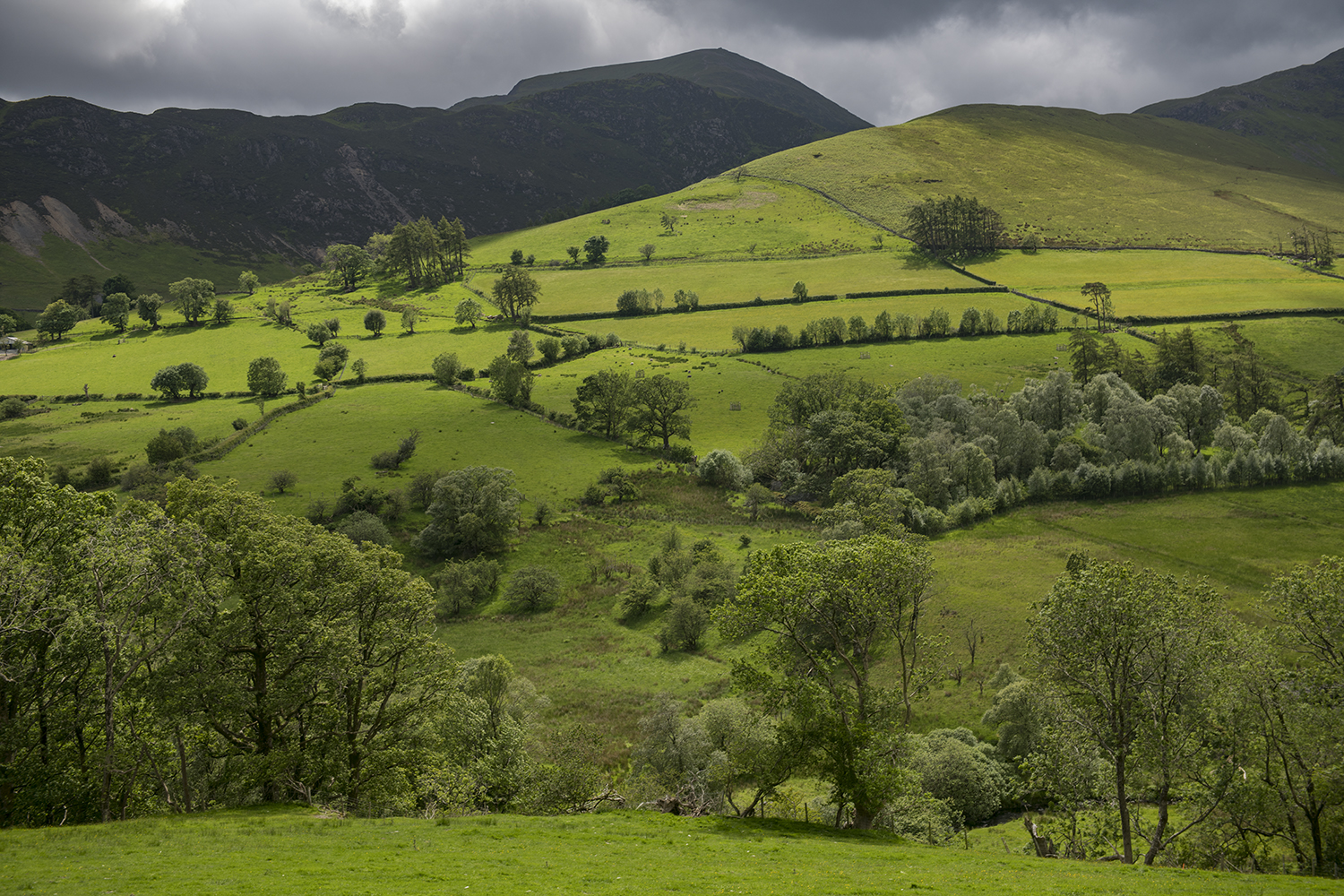 Yorkshire Dales MWDSC_8251