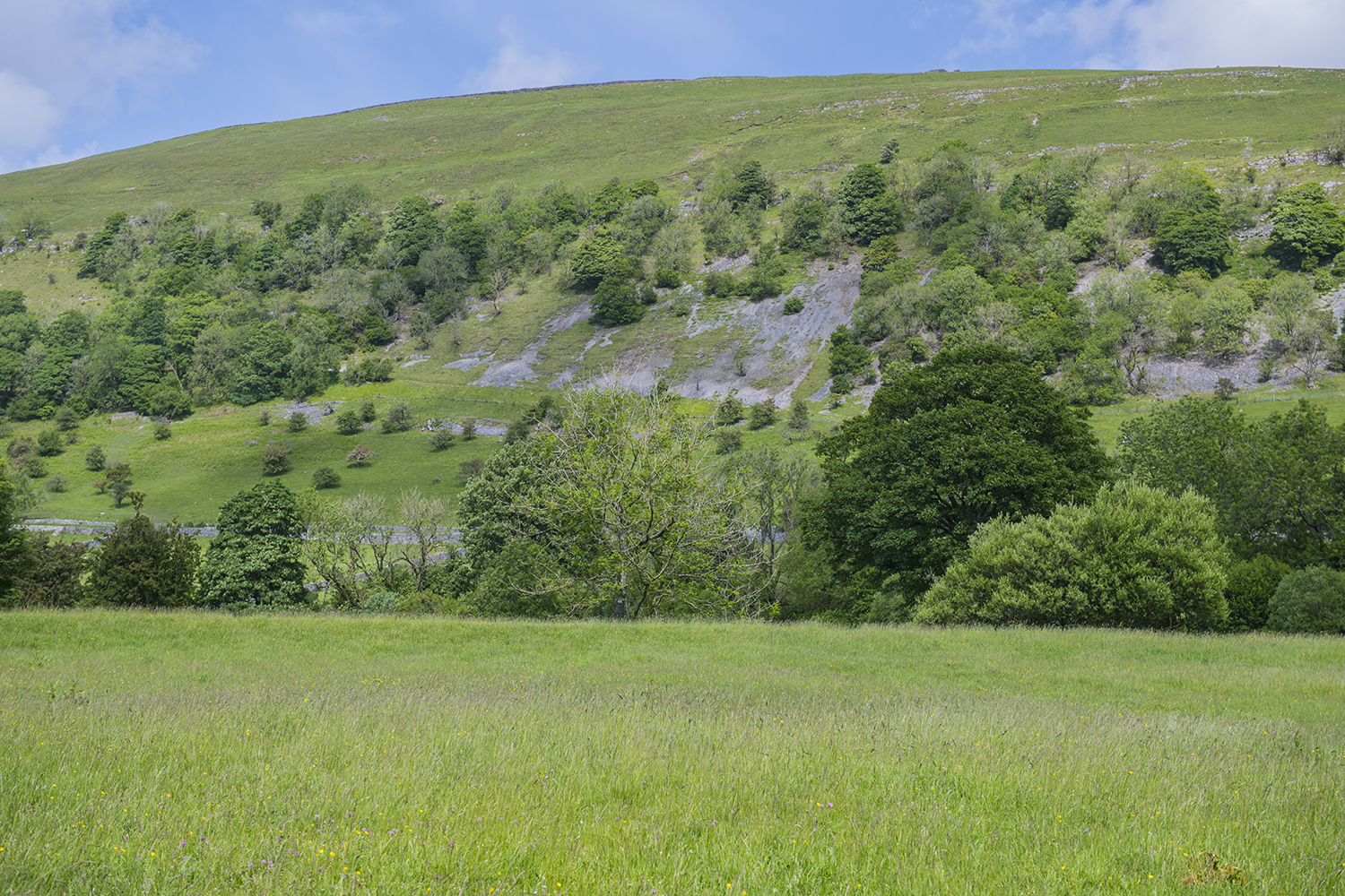 Yorkshire Dales MWDSC_8265