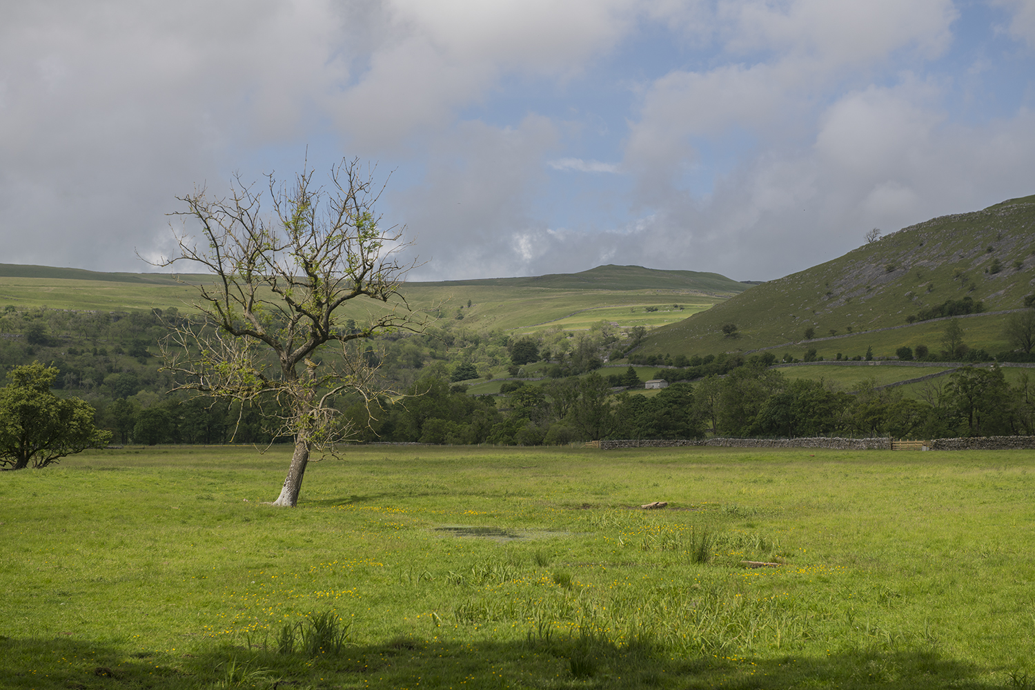 Yorkshire Dales MWDSC_8270