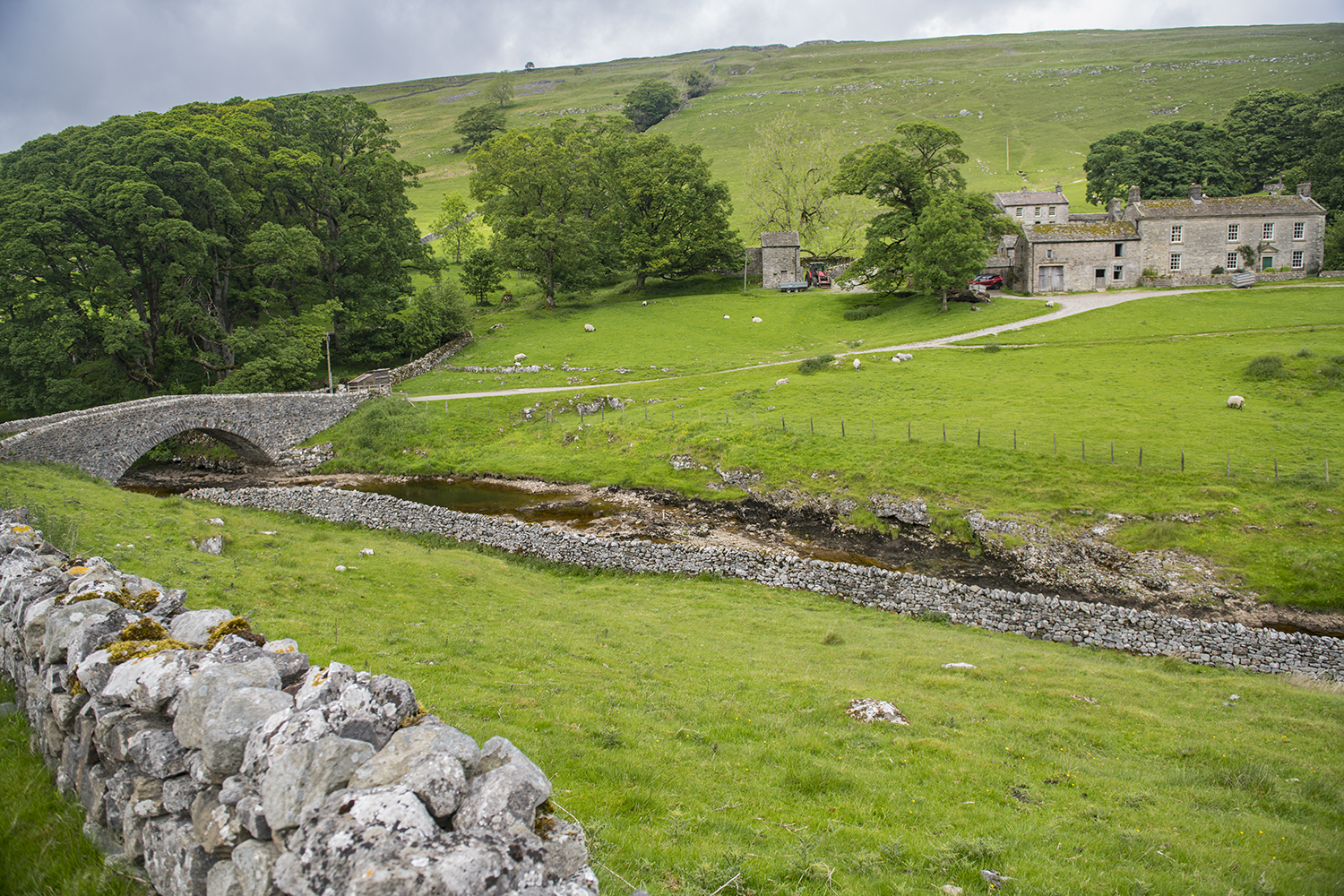 Yorkshire Dales MWDSC_8274