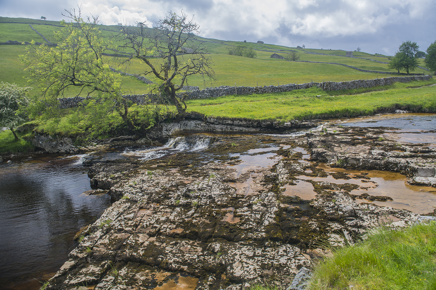 Yorkshire Dales MWDSC_8278