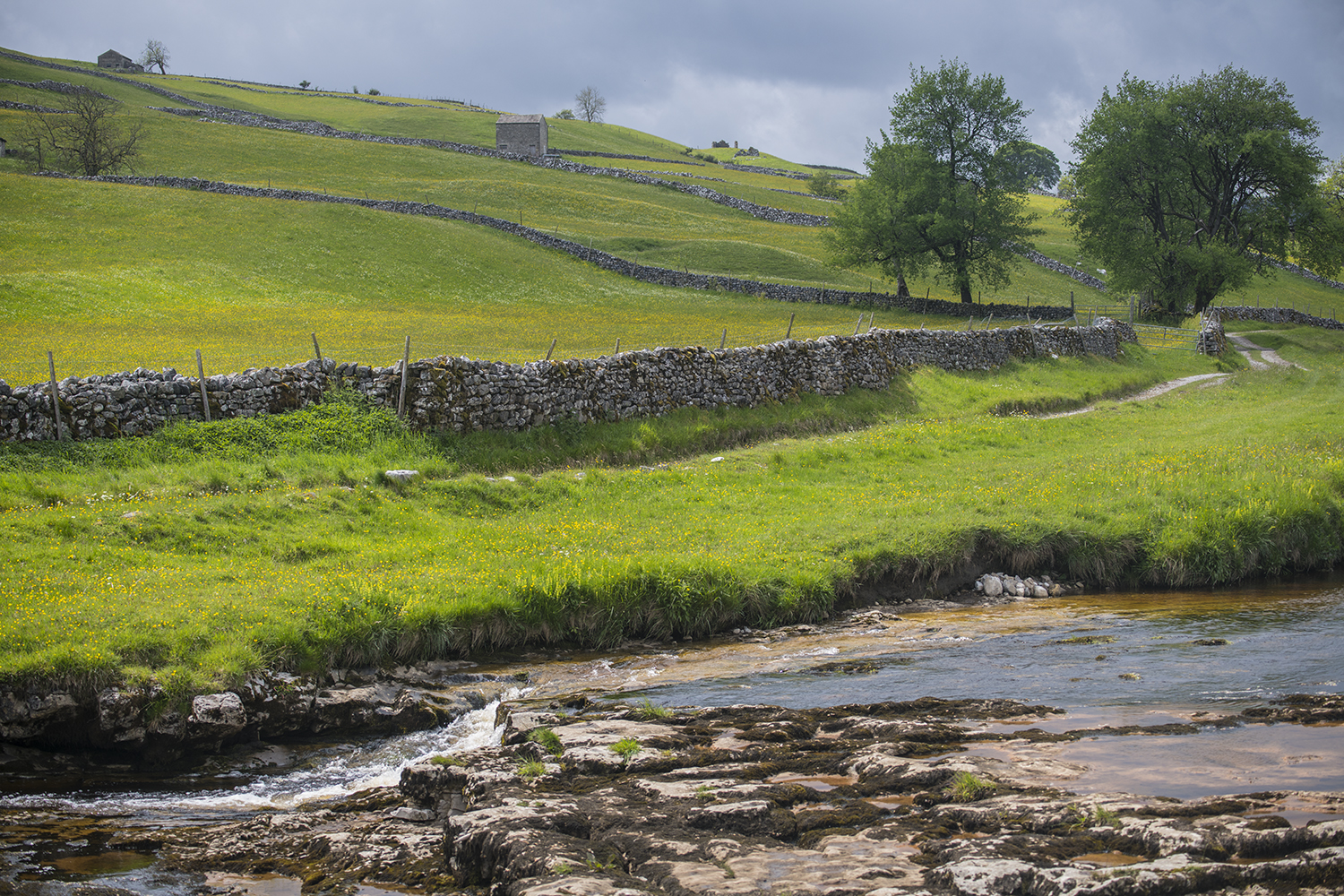 Yorkshire Dales MWDSC_8290