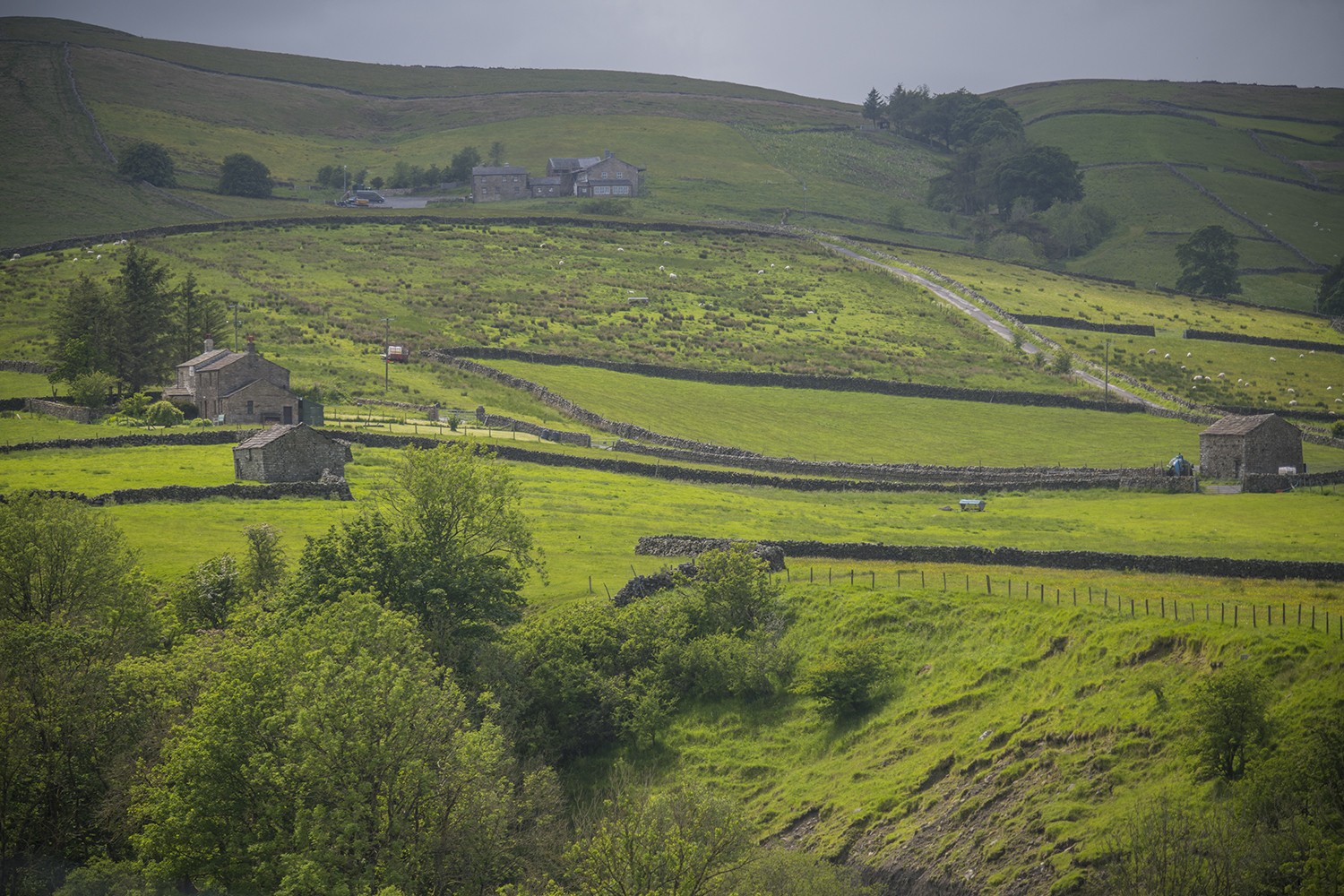 Yorkshire Dales MWDSC_8302