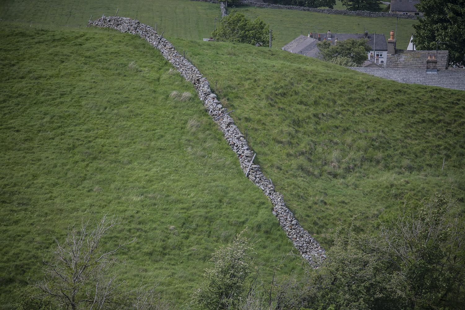 Yorkshire Dales MWDSC_8310