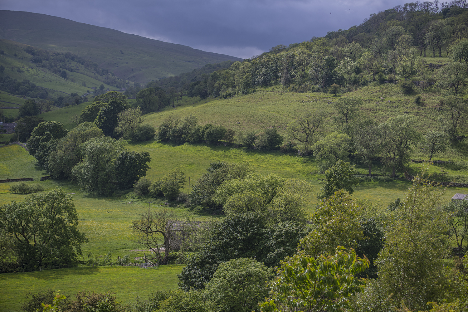 Yorkshire Dales MWDSC_8317