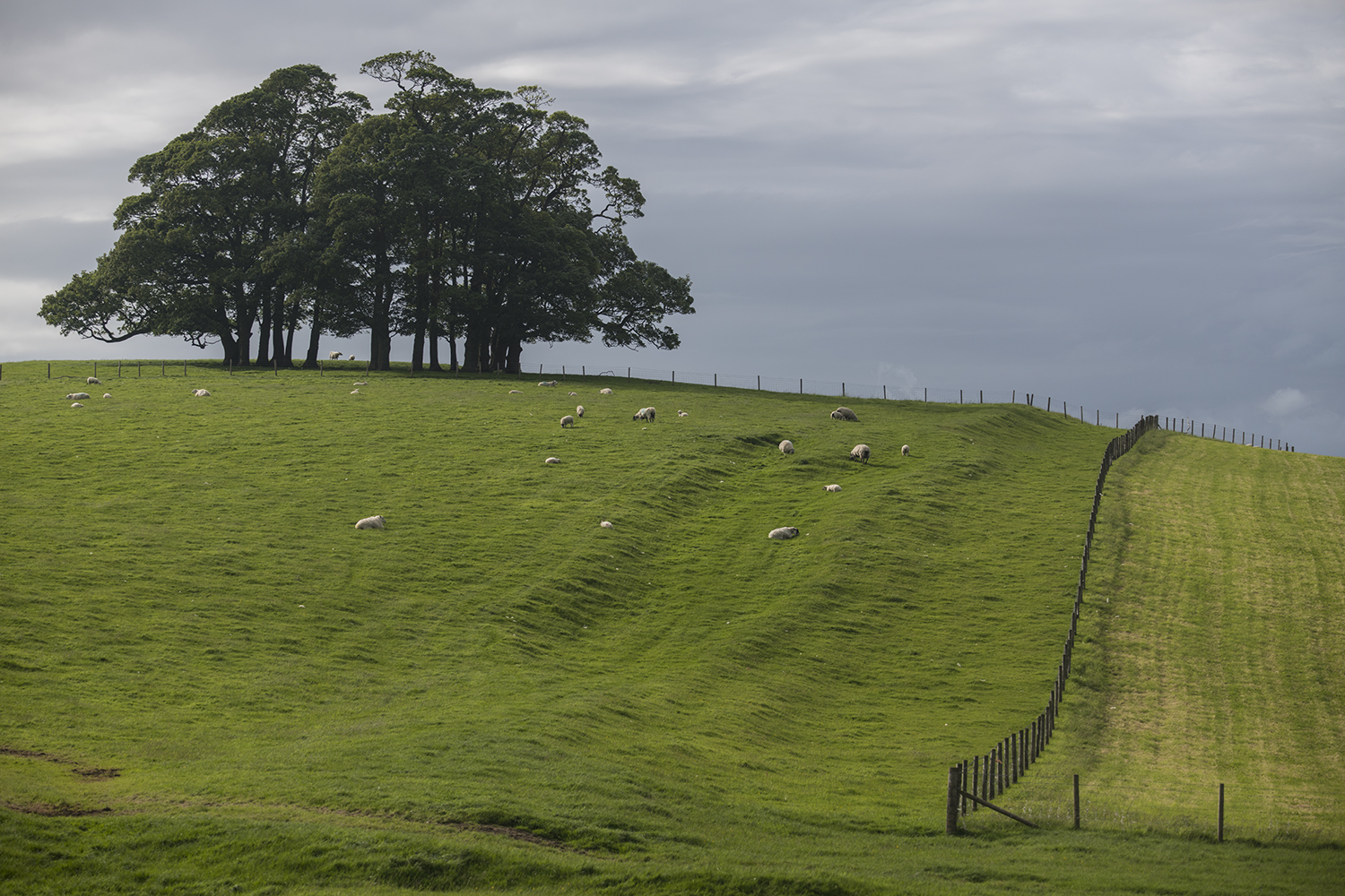 Yorkshire Dales MWDSC_8323