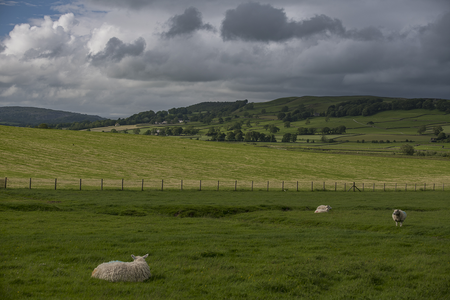 Yorkshire Dales MWDSC_8331